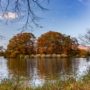 【函館秋天紅葉景點】大沼公園楓葉一日遊：含交通、必吃美食、散步路線