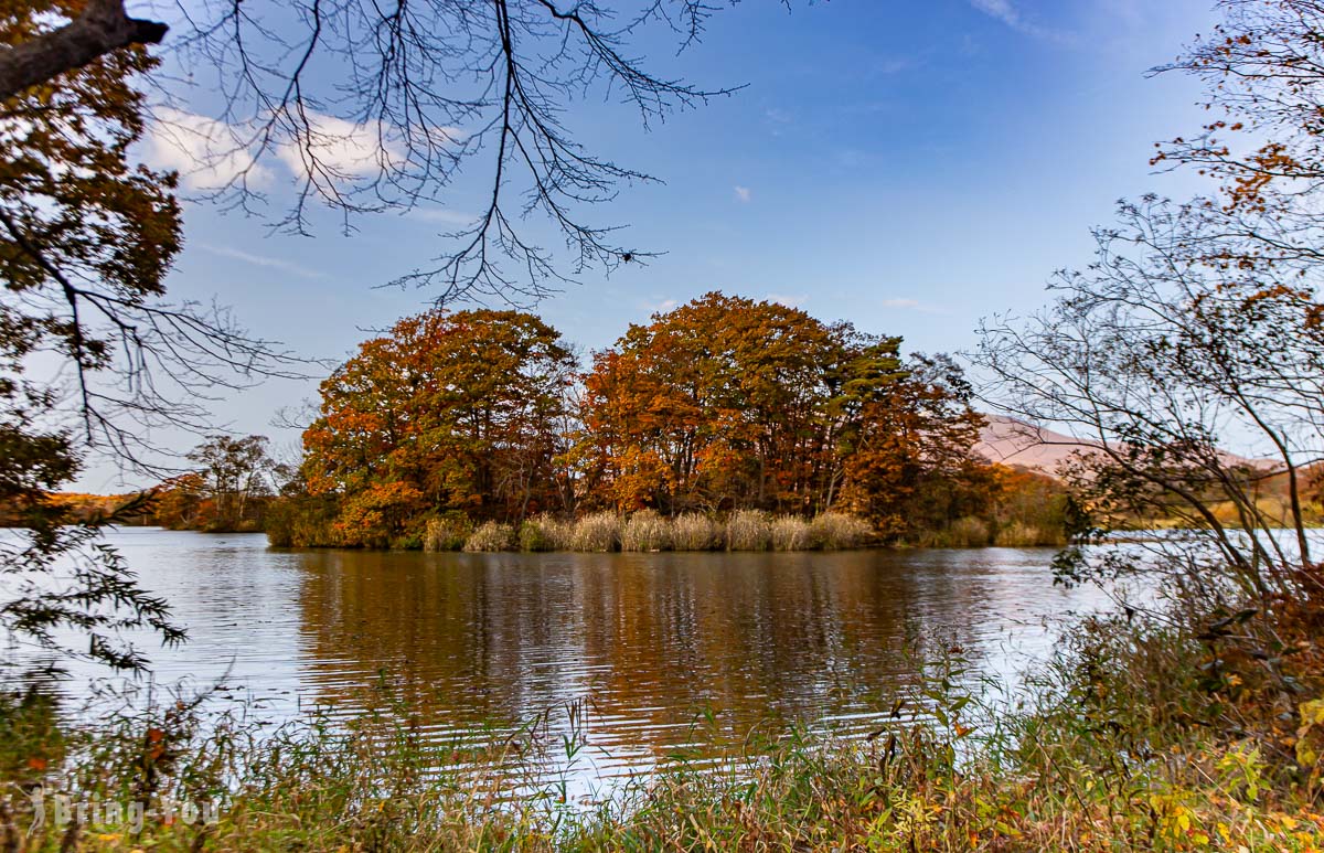 【函館秋天紅葉景點】大沼公園楓葉一日遊：含交通、必吃美食、散步路線