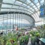 【伦敦空中花园】Sky Garden London 免费预约、餐厅推荐、户外观景台夕阳美景