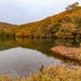 【青森紅葉景點】蔦沼：秋天楓葉美景、交通方式、夢幻日出朝燒攻略