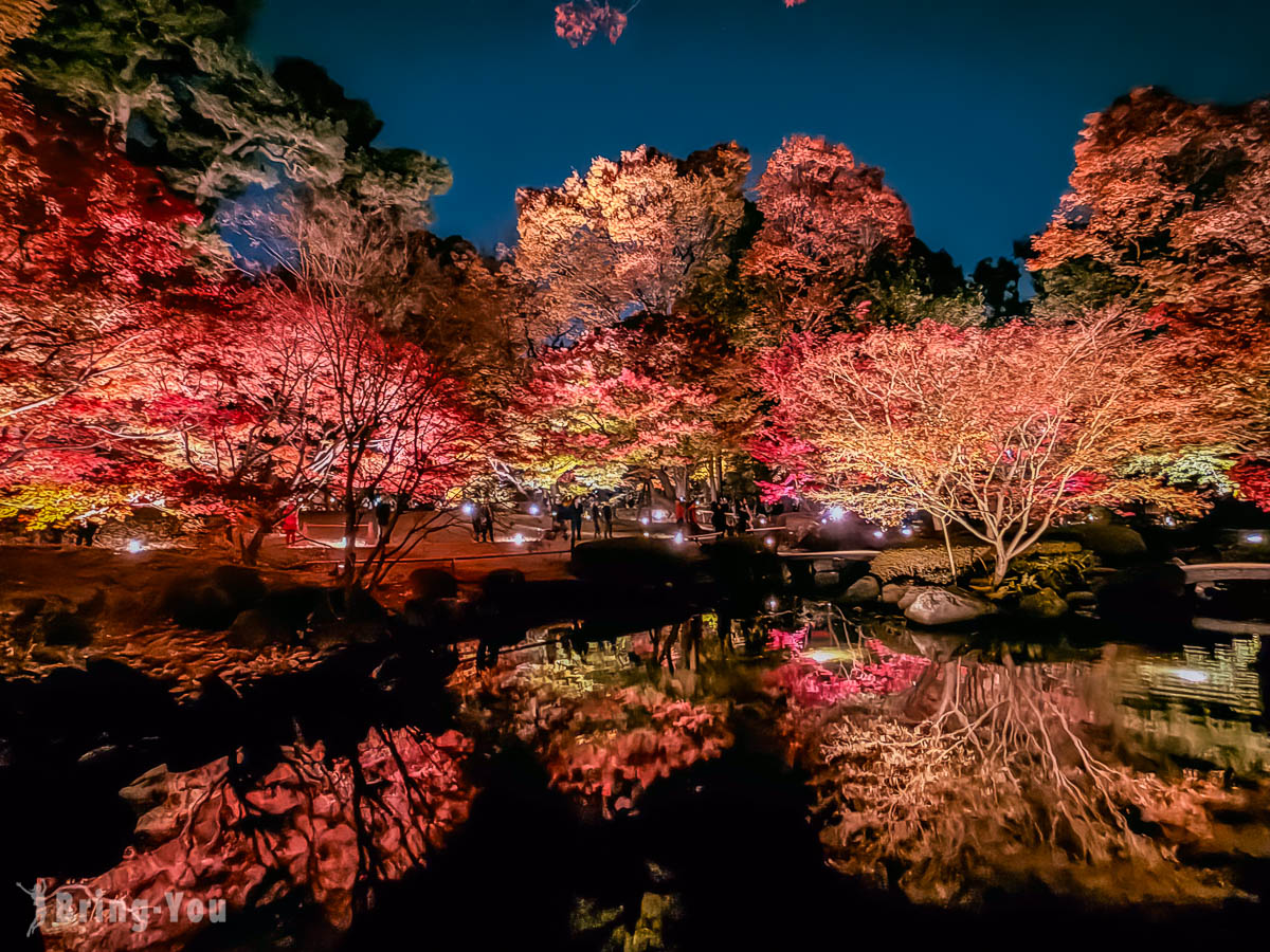 大田黑公園紅葉景點｜荻窪賞楓、夜間點燈、排隊攻略 & 交通資訊