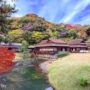 【横滨三溪园景点介绍】秋日赏枫攻略：红叶美景、巴士交通信息