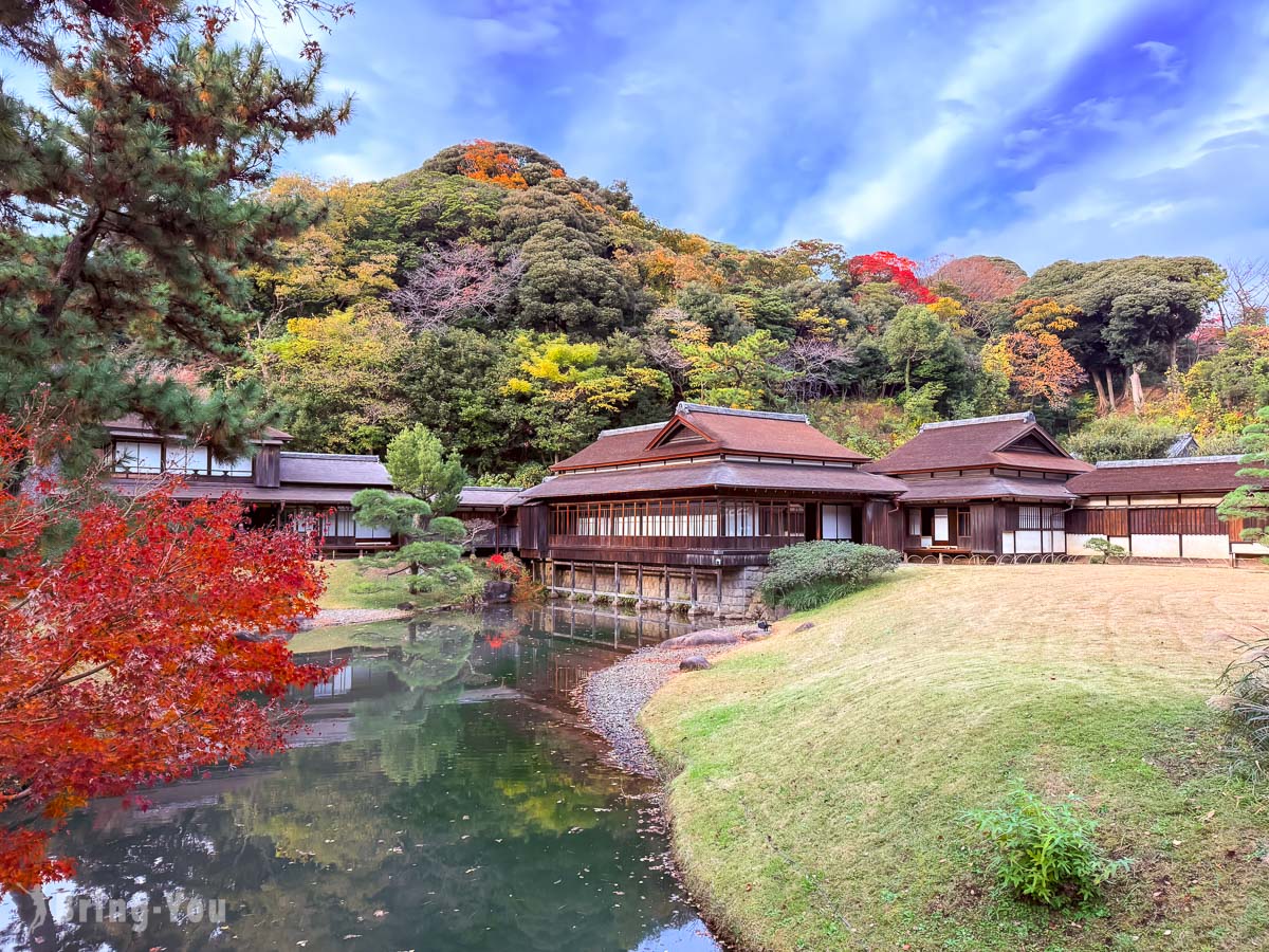 【横滨三溪园景点介绍】秋日赏枫攻略：红叶美景、巴士交通信息