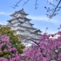 【姬路城攻略】門票、交通、櫻花看點｜日本第一名城必看景點完整介紹