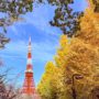 【东京铁塔拍摄景点攻略】芝公园樱花银杏美景与地下楼梯 IG 打卡点