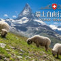 【2026瑞士自由行】7天/10天/14天行程规划、景点地图与交通费用攻略