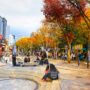 6 Best Things To Do In Hongdae: Indie Culture, Shopping, Urban Arts, And Nightlife