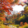 Changdeokgung Palace’s Secret Garden: Ticketing & Scenic Itinerary For First-Time Visitors