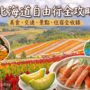 【2026北海道自由行】5~10天行程规划攻略：自驾与不自驾景点、美食预算全掌握