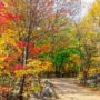 An Autumn Hiker’s Guide to Seoraksan National Park: Day Trip and Things to See