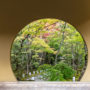 【东北宫城】圆通院：松岛赏枫景点，漫游百年庭园，探访结缘名寺