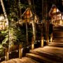 【北海道富良野景点】森林精灵露台一日游：夏天白天与夜间点灯景色& 交通介绍