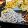 【镰仓美食】しらすや 腰越渔港前店，品尝湘南海岸著名生吻仔鱼丼
