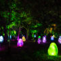 teamLab Botanical Garden Osaka: A Complete First-Timer’s Guide 2026