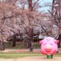 【福岛赏樱景点】开成山公园：吉利蛋公园樱花隧道与周边景点全攻略