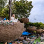 3 Mermaids Pattaya Review: Is It Worth Visiting?